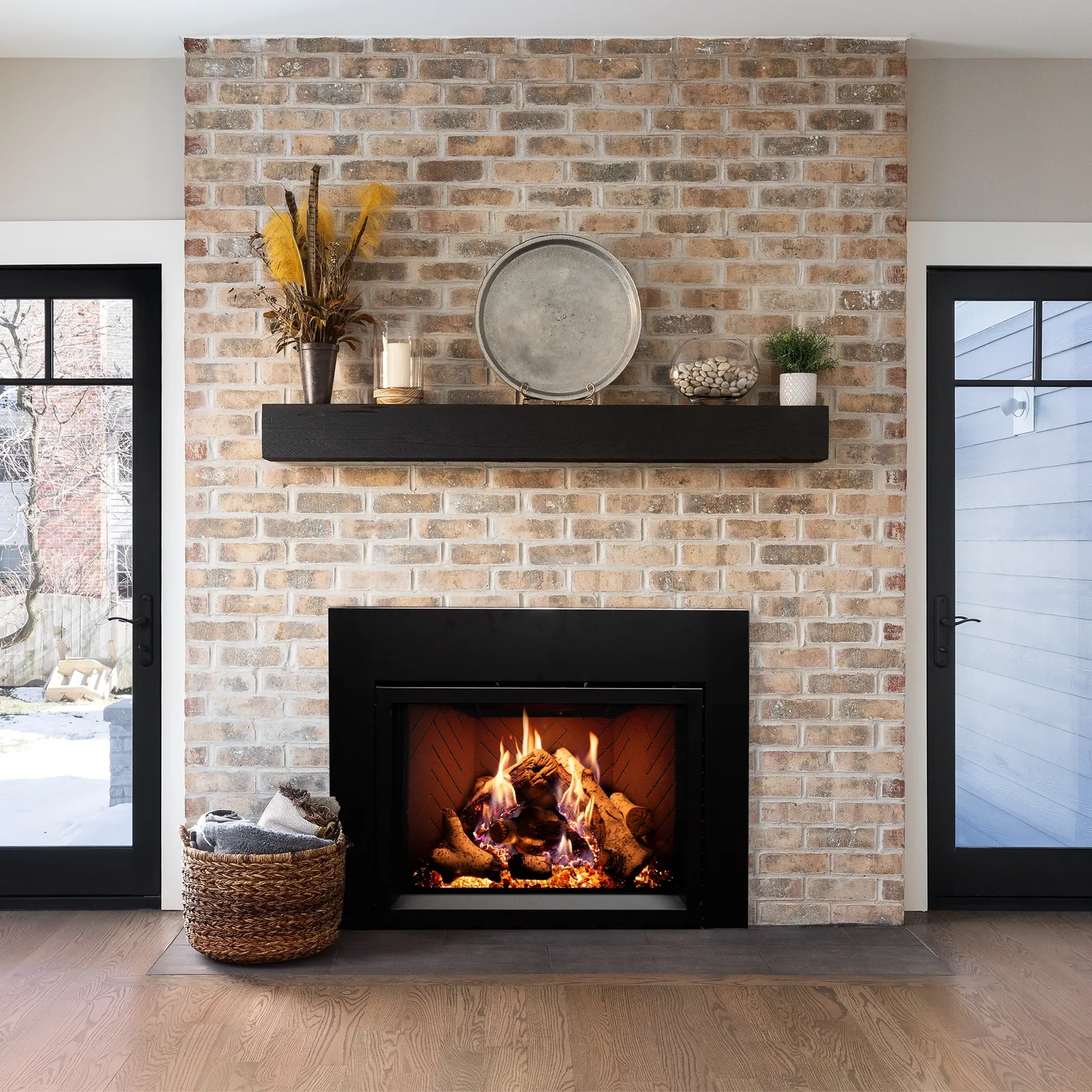 White Mountain Hearth (Empire) Rainier Premium Insert — Rainier Premium insert with birch log presentation