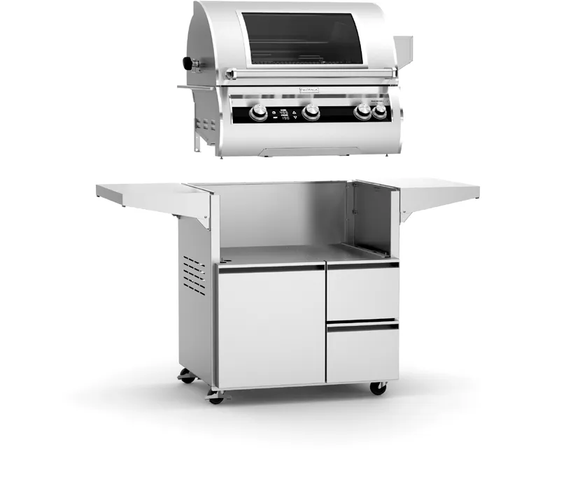 Fire Magic E660i Built-In Grill — official manufacturer image